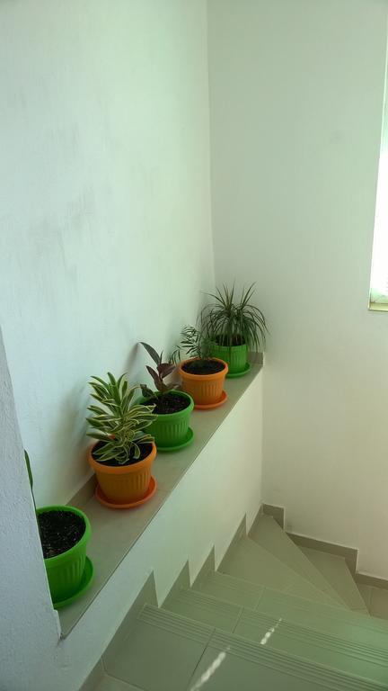 Summer Sz Guest House Σωζόπολη Εξωτερικό φωτογραφία